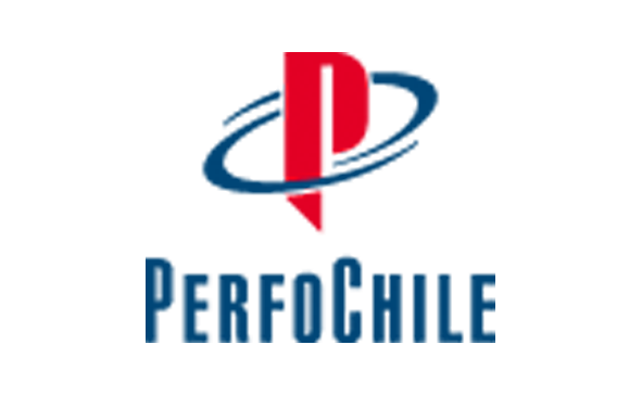 PerfoChile